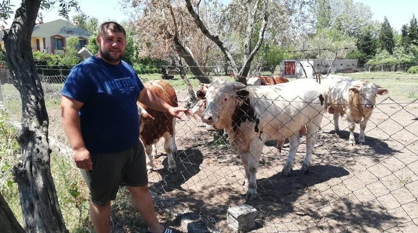 Besiciler Kurban Bayramı&rsquo;nı bekliyor