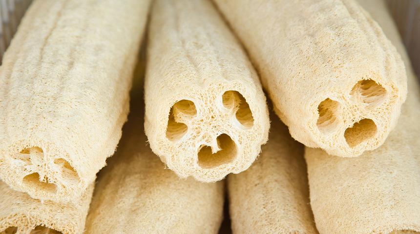 Banyoda peeling i&ccedil;in kullandığımız lif kabağı aslında bakın ne?