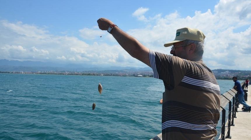 İskelede balık avı