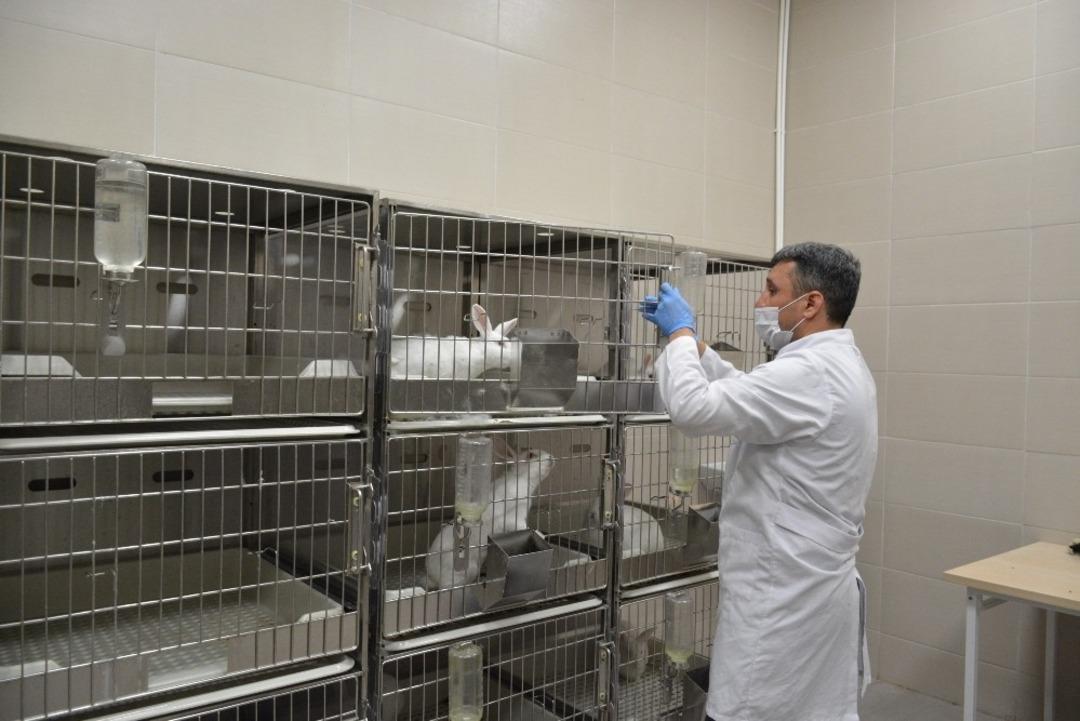 İhtisaslaşma &ccedil;alışmalarında &ouml;nemli rol oynuyor