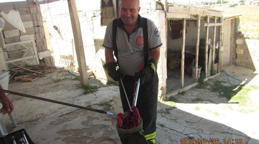 Eve giren yılanı itfaiye &ccedil;ıkardı