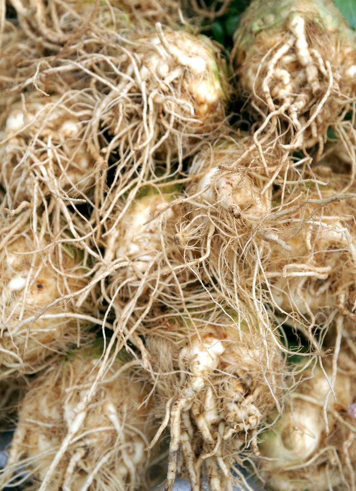 Bir hafta boyunca kereviz yerseniz bakın vücudunuzda neler olacak?