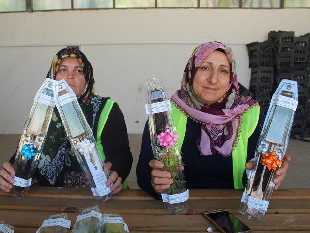 Sivas'ta kadın işçiler nikah fidanı üretiyor