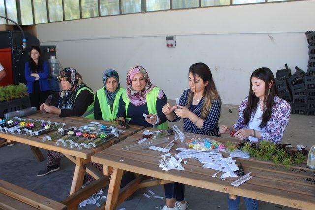 Sivas'ta kadın işçiler nikah fidanı üretiyor