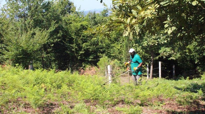 Mezarlıklarda bayram temizliği devam ediyor