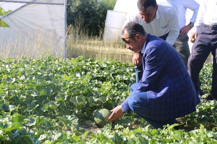 Gürpınar’da hasat zamanı G5