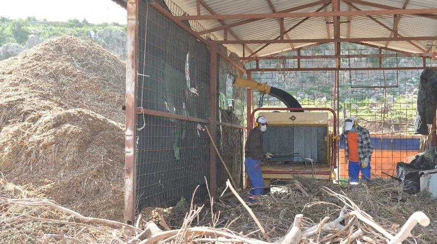 Muratpaşa Belediyesi, dal atıklarını kompost gübreye çeviriyor