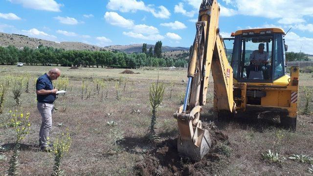 Yeni güneş enerji santralinin ilk adımları atıldı