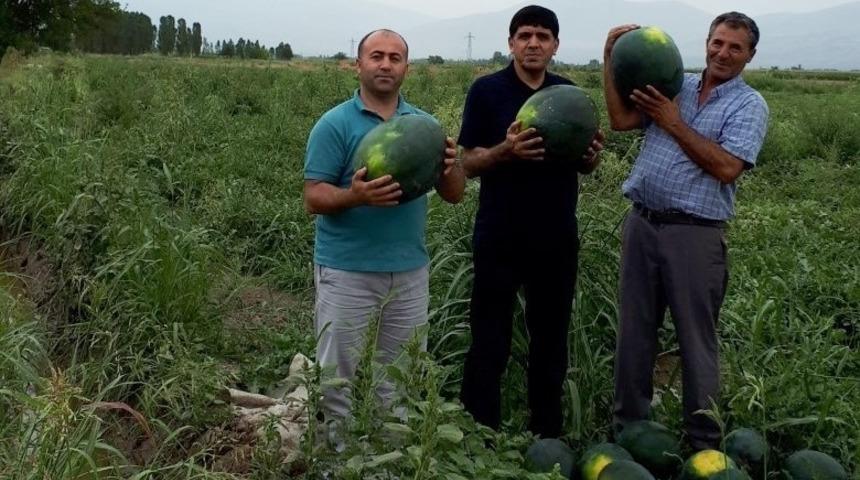 Rektör Alma, örnek çiftçi Akçan’ı ziyaret etti