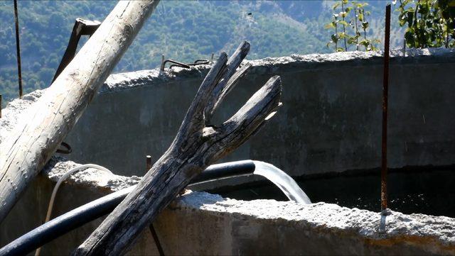 Kiraz bahçesinde kendi elektriğini üretiyor