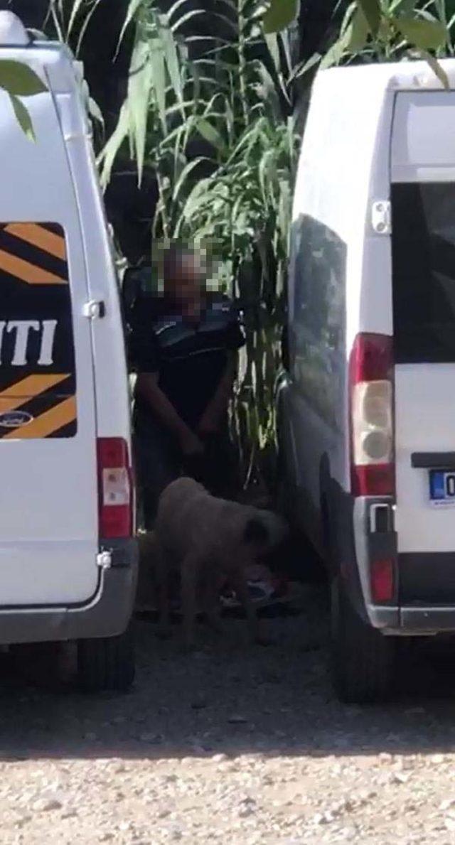 Köpeğe cinsel saldırıda bulunurken görüntülenen zanlı yakalandı