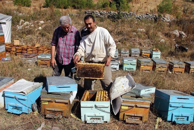 TAB Başkanı Ziya Şahin; “Bal üreticisi korunmalı”