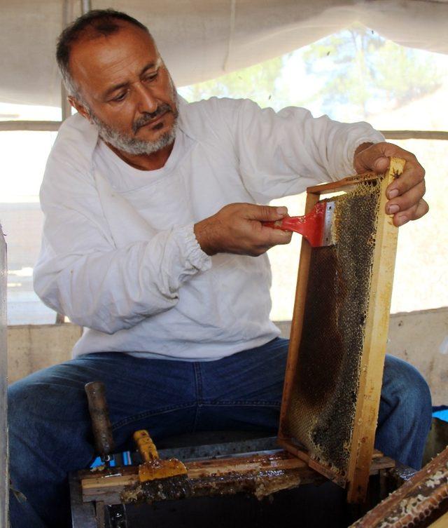 TAB Başkanı Ziya Şahin; “Bal üreticisi korunmalı”