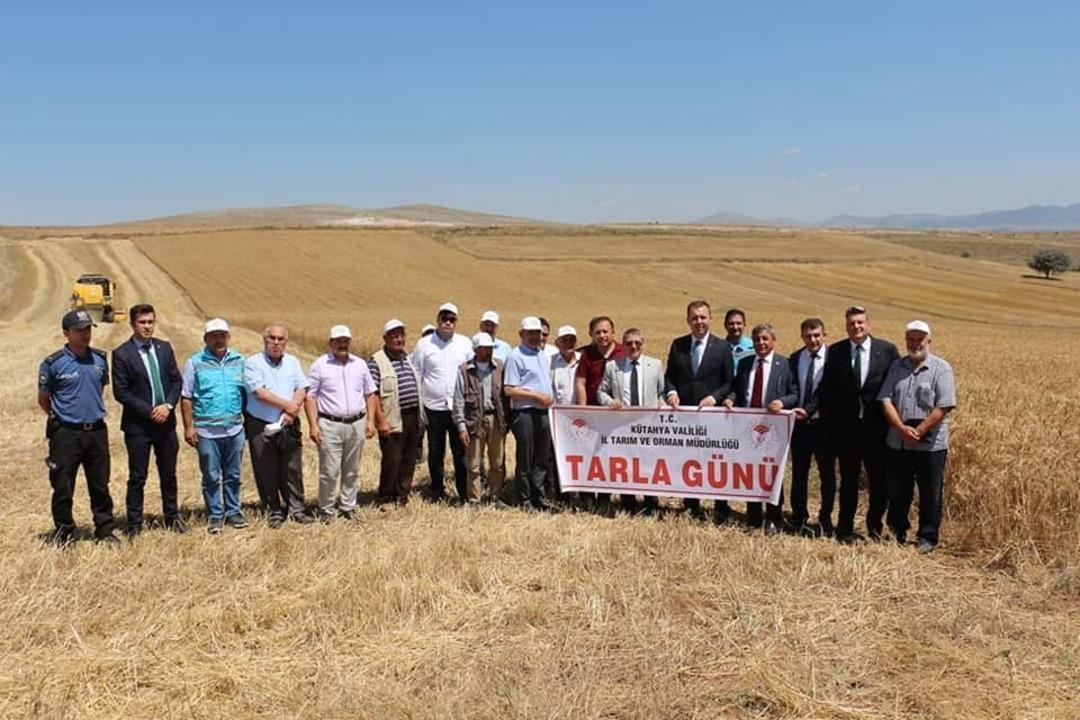 Altıntaş&rsquo;ta "Reyis ve Mesut" isimli yeni buğday &ccedil;eşitleri tanıtıldı