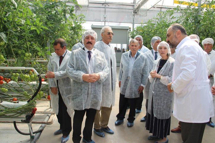 Türkiye’nin fabrika baca atığı ile ısıtılan ilk modern serası hizmete açıldı G1