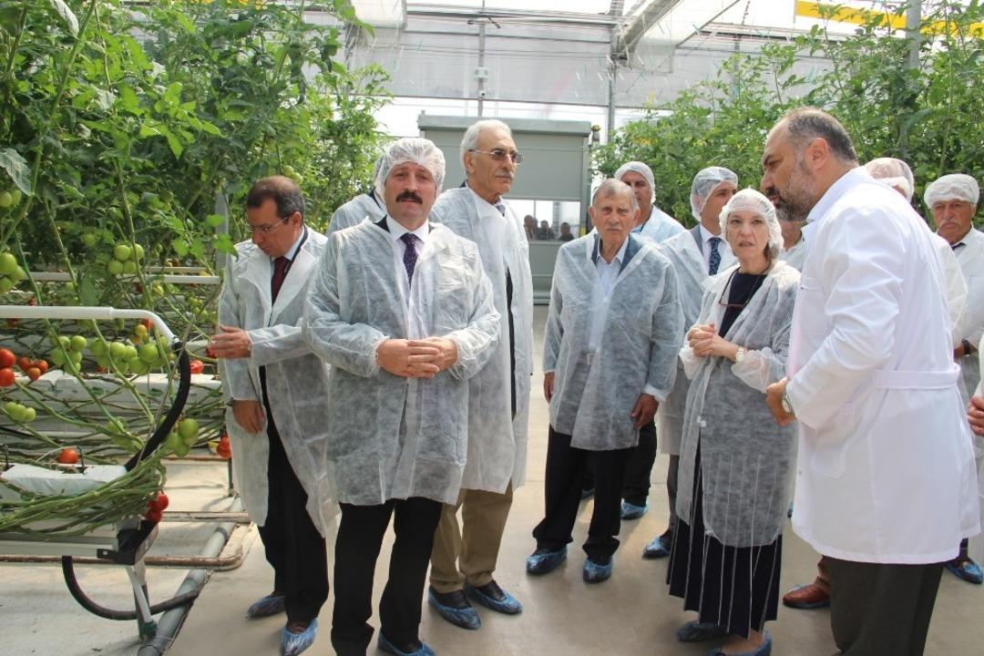 T&uuml;rkiye&rsquo;nin fabrika baca atığı ile ısıtılan ilk modern serası hizmete a&ccedil;ıldı