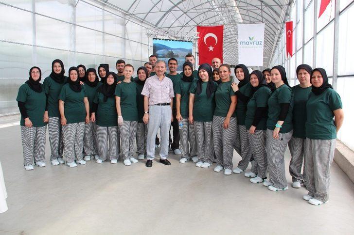 Türkiye’nin fabrika baca atığı ile ısıtılan ilk modern serası hizmete açıldı G4