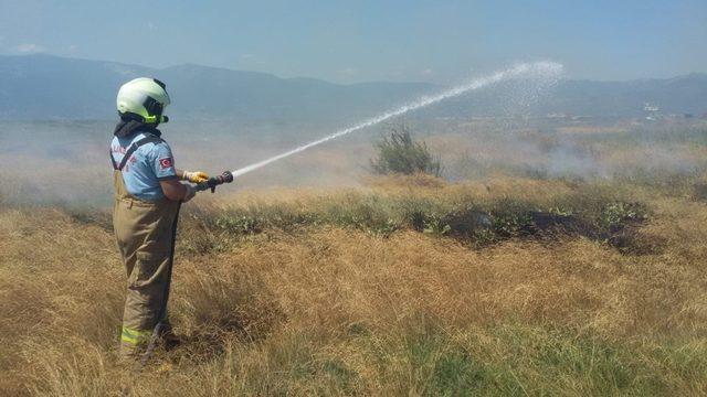 Burhaniye’de yazlık sitedeki ot yangını korkuttu