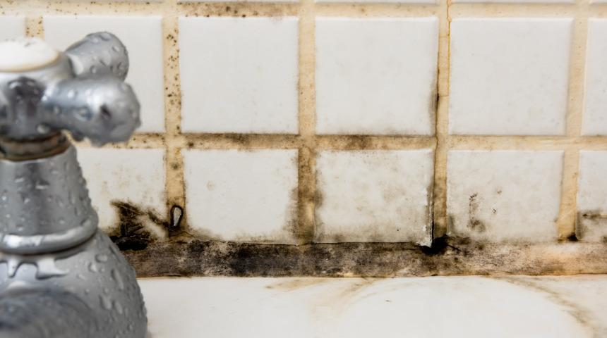 Nedenini bilmediğiniz hastalıklar evdeki küflerden kaynaklanıyor olabilir