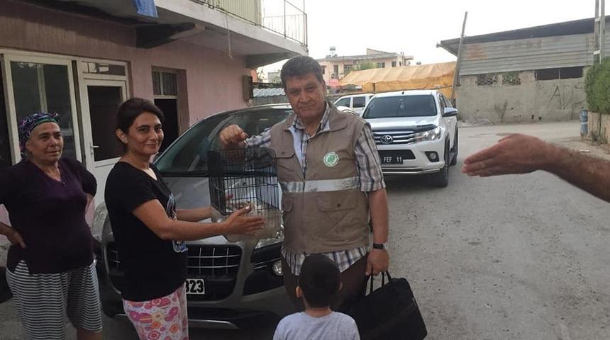 Sokakta bulunan peçeli baykuş doğaya salındı