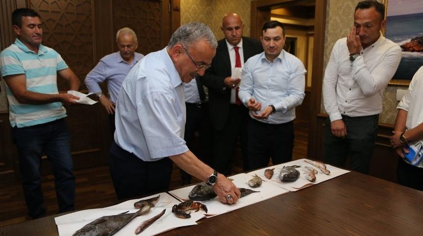 Ordu&rsquo;da deniz &uuml;r&uuml;nleri &ccedil;eşitlenecek