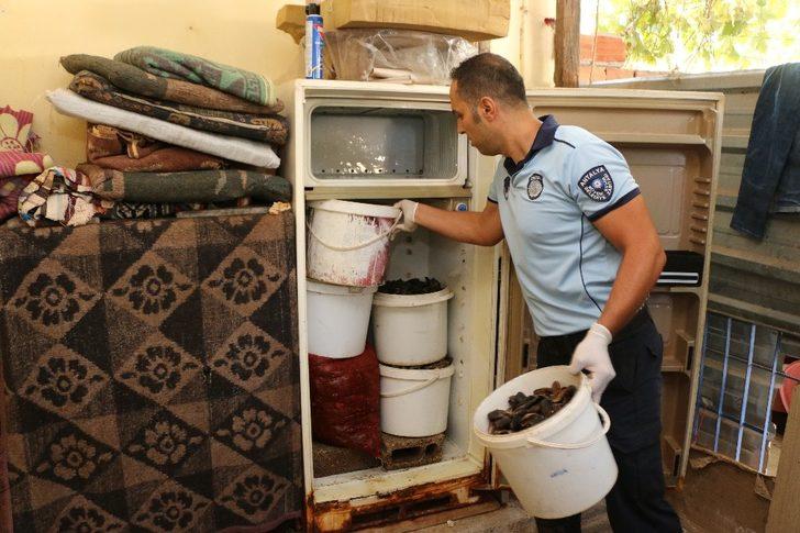 Antalya’da merdiven altı üretilen bin 180 kilogram midyeye el konuldu G3