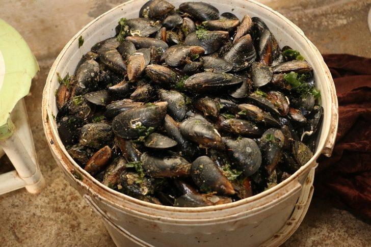 Antalya’da merdiven altı üretilen bin 180 kilogram midyeye el konuldu G4