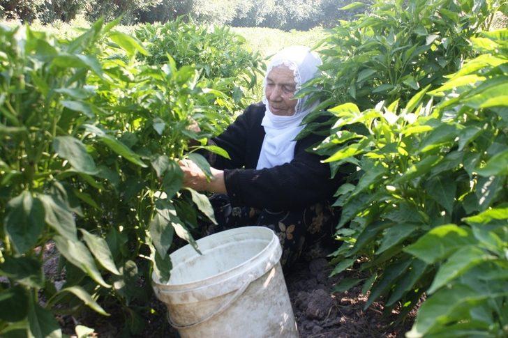Diyarbakırlı kadınlar, ektikleri ürünleri mezarlık önünde satıyor G2