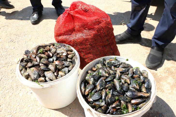 Sağlıksız midyeleri vatandaşa yedireceklerdi! Böyle yakalandılar G4