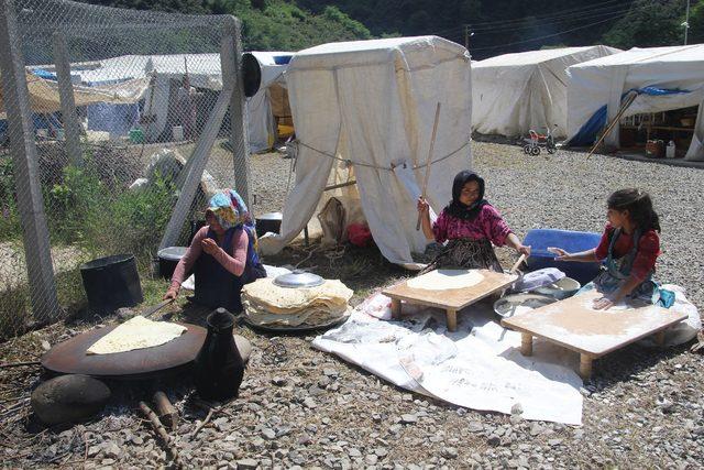 Mevsimlik tarım işçileri Ordu’da