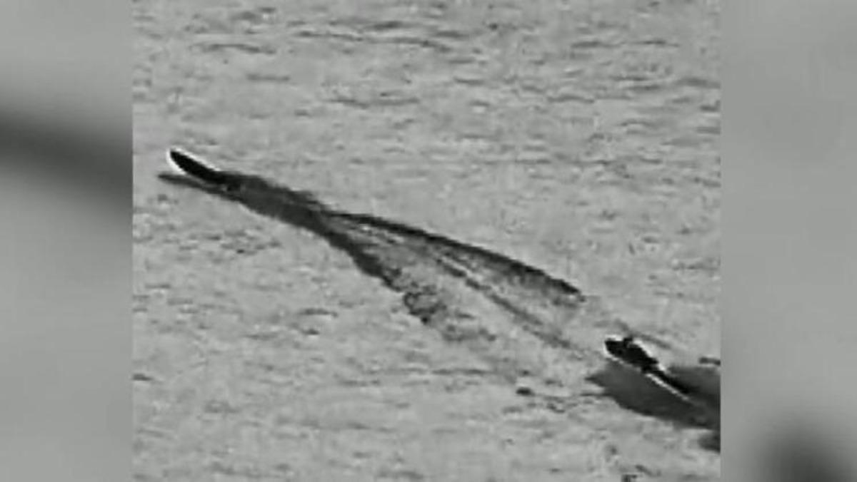 ABD sahil g&uuml;venlik ekipleri, tonlarca kokain ele ge&ccedil;irdi