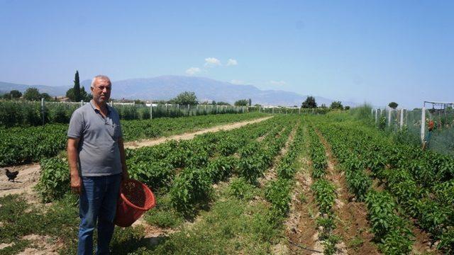 Emekli oldu self servis bahçe işine girdi