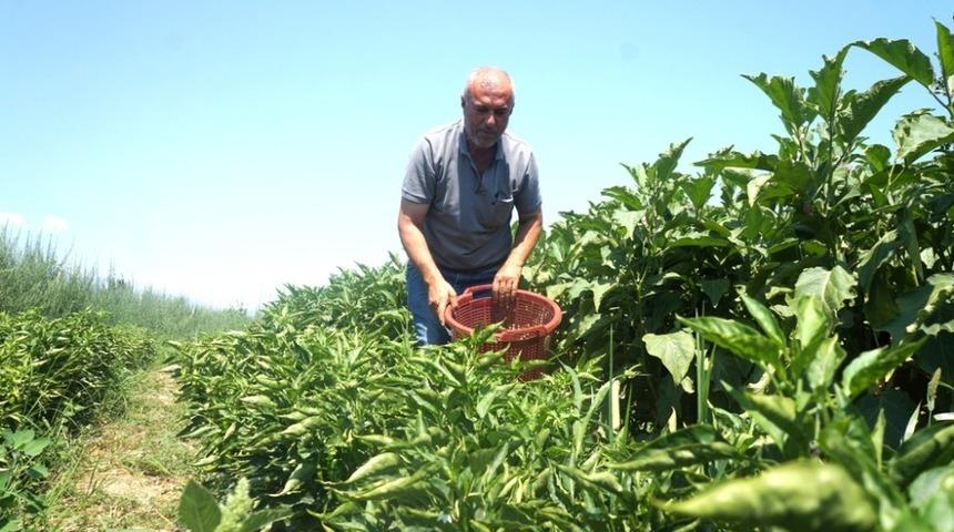 Emekli oldu self servis bah&ccedil;e işine girdi