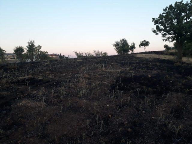 Mangal ateşi otluk alanda yangına neden oldu