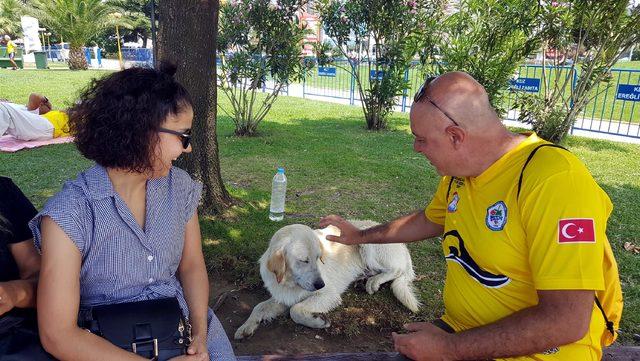 Yüzme yarışında sahibinin peşinden suya atlayan köpek ilgi odağı oldu