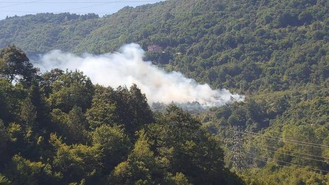 Kastamonu’da orman yangını