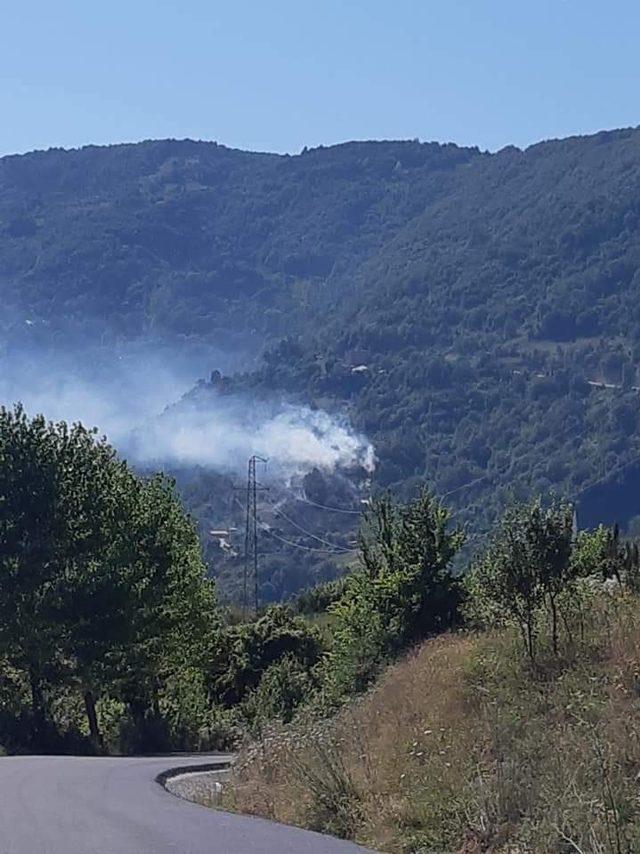 Kastamonu’da orman yangını