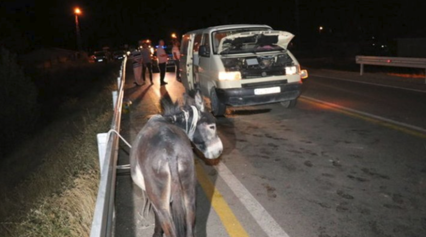 Erzincan'da başıboş eşek kazaya neden oldu: &Ccedil;ok sayıda yaralı var!