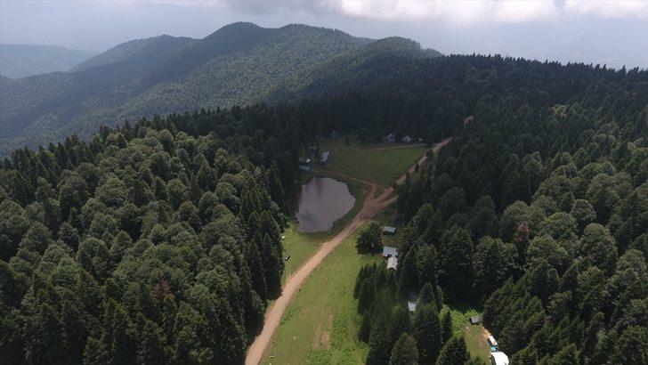Şehir hayatından sıkıldı, yaylalarda yaşamaya başladı G1