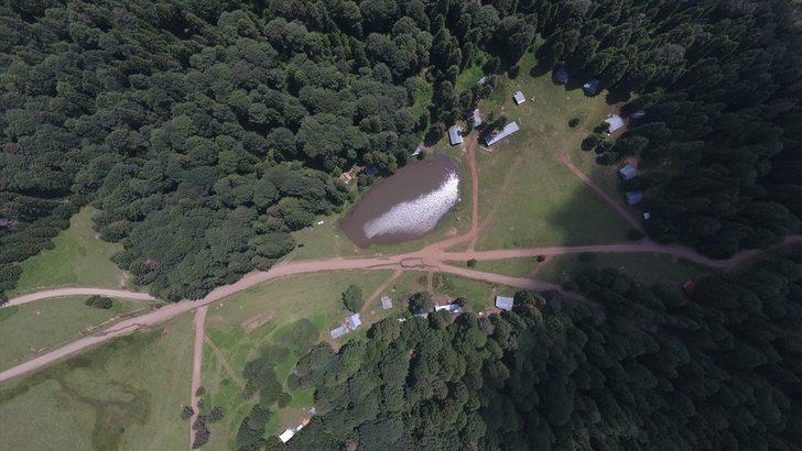 Şehir hayatından sıkıldı, yaylalarda yaşamaya başladı G2