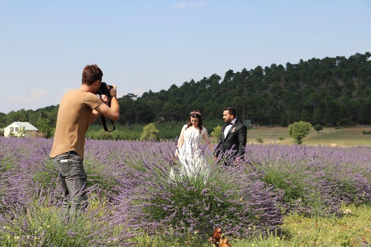 Lavanta tarlaları turistlerin gözdesi oldu G1