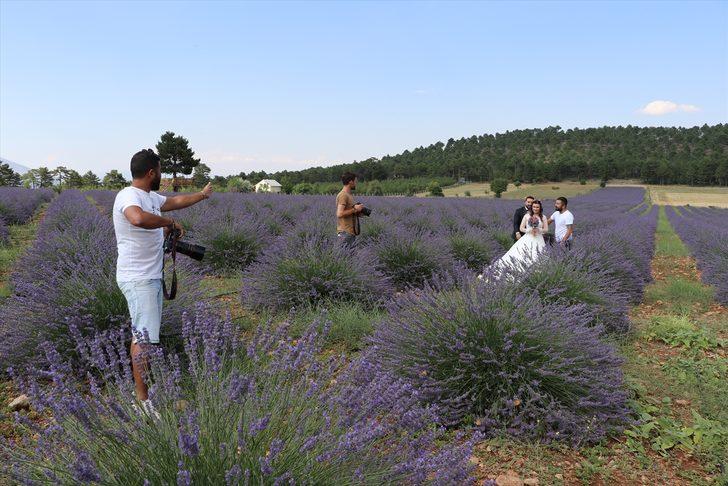 Lavanta tarlaları turistlerin gözdesi oldu G2