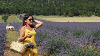 Lavanta tarlaları turistlerin gözdesi oldu