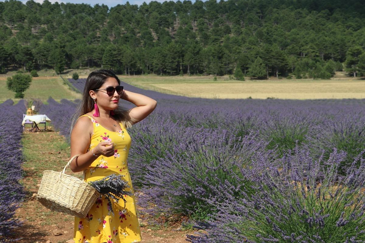 Lavanta tarlaları turistlerin g&ouml;zdesi oldu