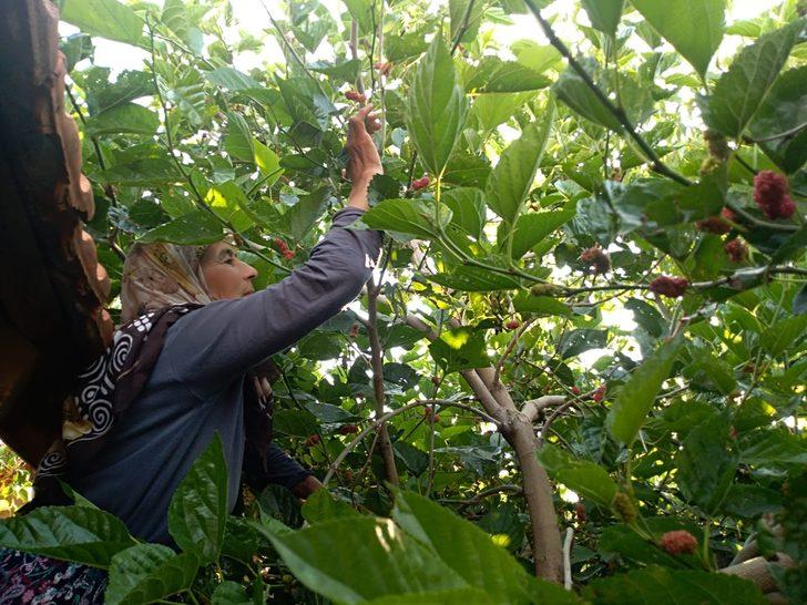  30 yıldır üretip satıyor  G1