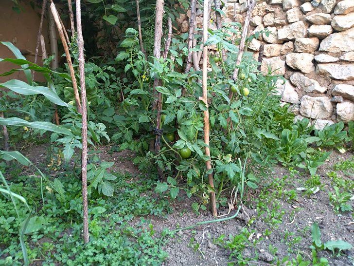  30 yıldır üretip satıyor  G3