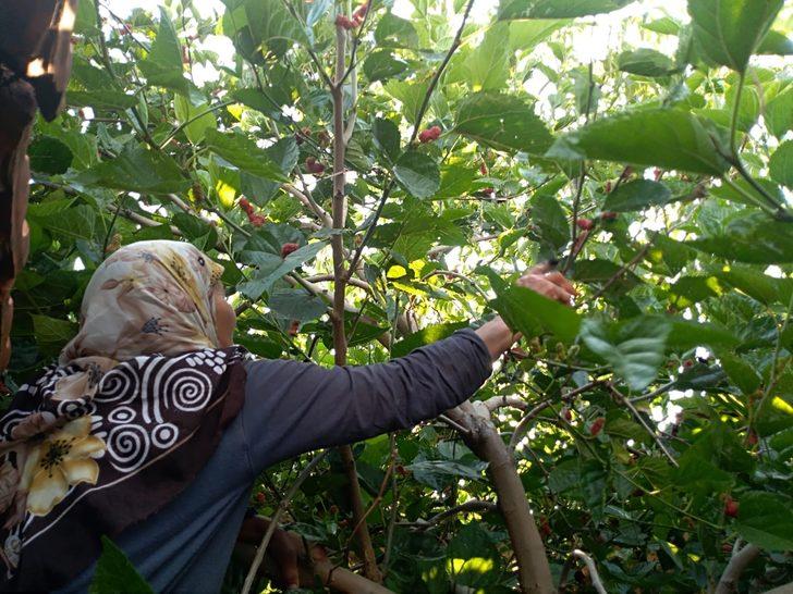  30 yıldır üretip satıyor  G4