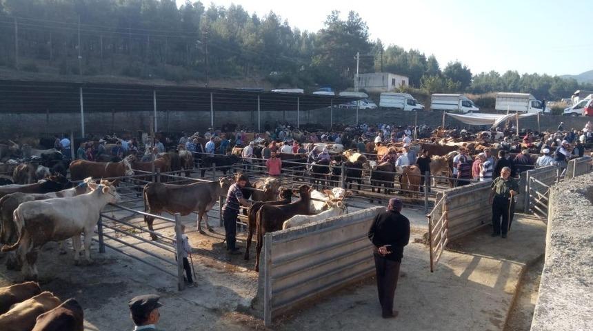 Boyabat hayvan pazarında kurbanlık hayvan satışı yoğunluğu