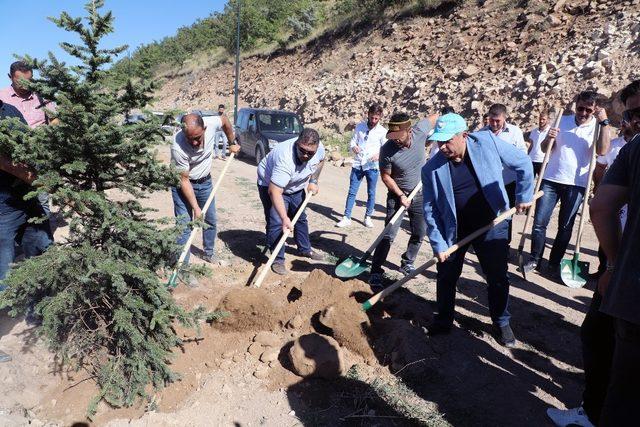 Talas Kafeciler Derneği ile Ali Dağı’nda Fidan Dikimi