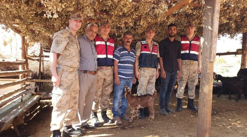 Kaybolan küçükbaş hayvanlar drone yardımı ile bulundu